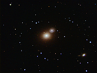 M60  Elliptical Galaxy in Virgo. Taken at home on 04/24/07 and 05/13/07.  Meade RCX400 10" scope, DSI-Pro II camera, focal reducer. 30-90 seconds/frame, total time 194 minutes (LRGB=50:42:42:60)