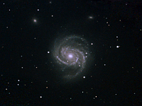 M100  Galaxy in Coma Berenices. Taken at H2O on 05/02/05.  Meade LX200 GPS 8" scope, DSI-C camera, alt/az mount. 10 seconds/image, total time 135 minutes. 2x2 drizzle with extra images in the center.