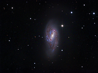 M66  Spiral Galaxy in Leo, part of the Leo Triplet. Taken at home on 02/04/16 - 02/08/16. Planewave CDK 12.5", SBIG ST-10XME camera. 300 seconds/image, total time 17h 20m (LRGB = 650:135:120:135 minutes).