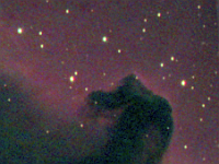 IC 434  Horsehead Nebula. Taken at H2O on 02/03/05.  Meade LX200 GPS 8" scope, alt/az mount, DSI-C camera. 25 seconds/frame, total time 30 minutes.
