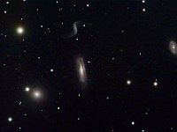 NGC 3190  Compact group of galaxies in Leo. Taken at home on 03/30/08.  Meade RCX400 10" scope, ST-10XME camera. Guided using AO internal guider. 300 seconds/frame for L, 120 seconds/frame for RGB, total time 137 minutes (LRGB=85:16:20:16).