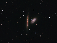 NGC 4302 + 4298  Galaxy pair in Coma Berenices. Taken at home on 04/03/11 through 05/04/11. RCX400 scope, ST-10 XME camera. 300 seconds/frame, total time 415 minutes. (LRGB=235:60:60:60). NGC 4302 is the vertically oriented galaxy in the picture, and NGC 4298 is the galaxy that is seen face-on.  These are both spiral galaxies.