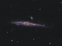 NGC 4631  NGC 4631, the Whale Galaxy in Canes Venatici. Taken at home on 05/02/10 and 05/06/10. Meade RCX400 10" scope, ST-10 XME camera. 300-1200 seconds/frame, total time 300 minutes (LRGBHa=120:20:20:20:120).