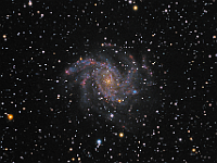NGC 6946  Fireworks Galaxy. Taken at home on 09/01/10 through 09/04/10. Meade RCX400 10" scope, ST-10XMEI camera. 300 seconds/frame for LRGB, 1200 seconds/frame for Ha, total time 635 minutes (LRGBHa=305:30:30:30:240).