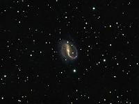 NGC 7479  Barred Spiral Galaxy in Pegasus. Taken at home on 08/01/11 through 09/01/11. RCX400 scope, ST-10XME camera. 300 seconds/frame, total time 8 hours 45 minutes (LRGB=405:40:40:40).  This galaxy had two supernovae in 1990 and 2009.  Some of the fainter objects in the picture are actually remote galaxies.